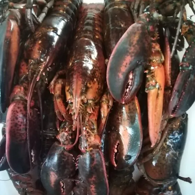 Putxeras Jon Villar elaboración de paellas 26